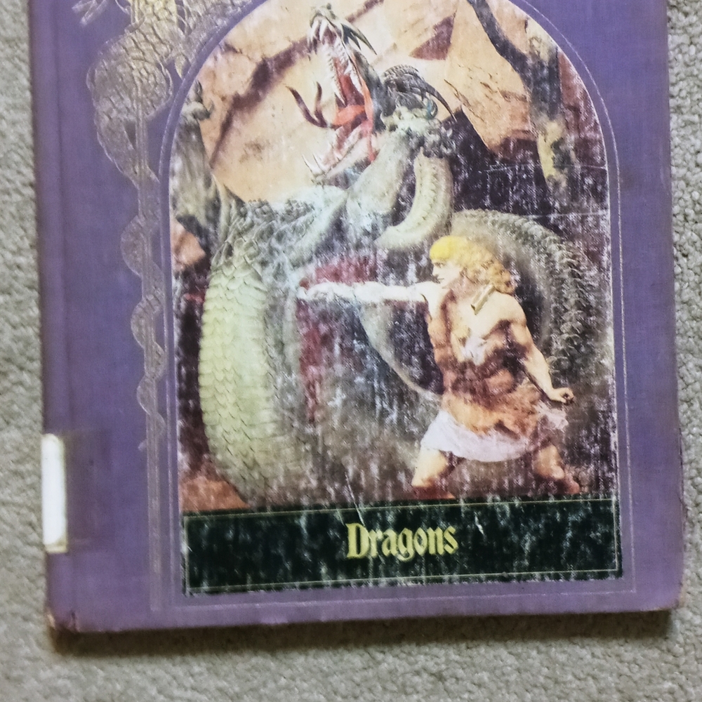 The enchanted World Dragon hardcover